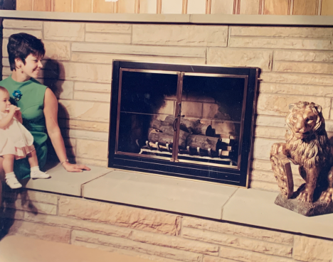 Thermo-Rite Mfg Fireplace Doors, Enclosures,